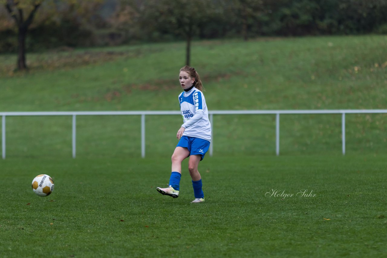 Bild 199 - Frauen SV Henstedt Ulzburg III - Bramstedter TS : Ergebnis: 1:0